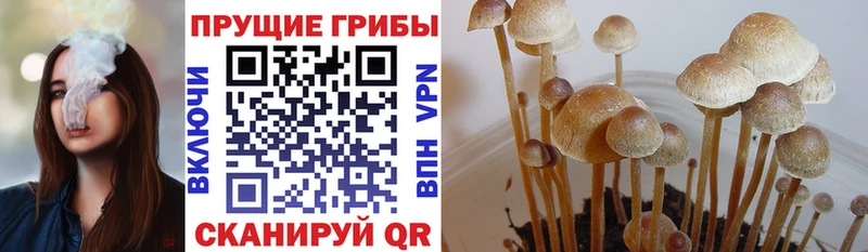 Галлюциногенные грибы GOLDEN TEACHER Руза